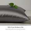 image:imageMellanni Pure Silk Pillowcase Standard Size  Perfect for Hair and Skin  Preventing Wrinkles  Easy Care  Naturally Cooling Silk Pillow Cover with Hidden Zipper Standard PinkDark Gray