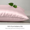 image:imageMellanni Pure Silk Pillowcase Standard Size  Perfect for Hair and Skin  Preventing Wrinkles  Easy Care  Naturally Cooling Silk Pillow Cover with Hidden Zipper Standard PinkPink
