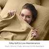 image:imageMellanni Queen Size Flat Sheet  Iconic Collection Bedding  Hotel Luxury Extra Soft Cooling  Wrinkle Fade Stain Resistant  1 Flat Sheet Only Queen White1861 Gold
