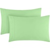 1241 Pistachio