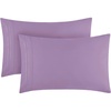 1356 Violet
