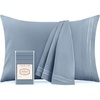 1573 Blue Hydrangea