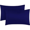 1597 Royal Blue