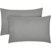 2364 Striped Gray / Silver