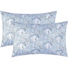 7535 Paisley Blue