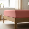 1621 Coral