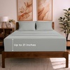1284 Spa Mint