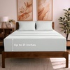 1126 Ivory