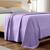 1355 Violet