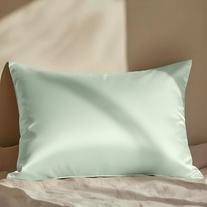 image:imageMellanni Pure Silk Pillowcase Standard Size  Perfect for Hair and Skin  Preventing Wrinkles  Easy Care  Naturally Cooling Silk Pillow Cover with Hidden Zipper Standard PinkLight Green