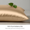 image:imageMellanni Pure Silk Pillowcase Queen Size  Perfect for Hair and Skin  Preventing Wrinkles  Easy Care  Naturally Cooling Silk Pillow Cover with Hidden Zipper Queen WhiteGold