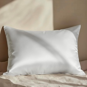 image:imageMellanni Pure Silk Pillowcase Queen Size  Perfect for Hair and Skin  Preventing Wrinkles  Easy Care  Naturally Cooling Silk Pillow Cover with Hidden Zipper Queen WhiteWhite