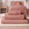 1621 Coral